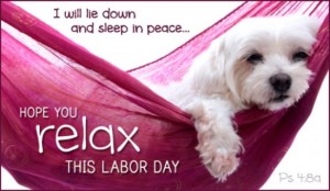 16404-labor-day-relax-dog